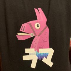 🦙あるぱか先生のトーク