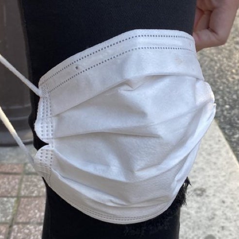 ガラパゴス砂糖