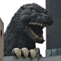 荒井正美のトーク