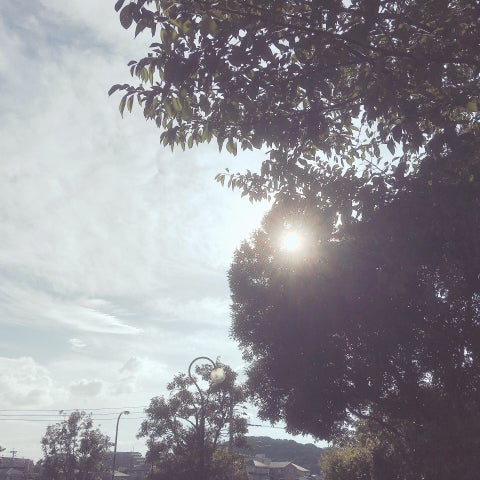 福岡住みの人‼️🌸話しませんか❓⭐️