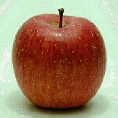 りんごのトーク