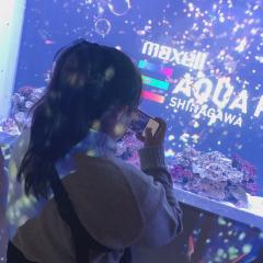 まめ