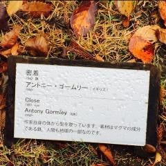 乃木坂46のことなど