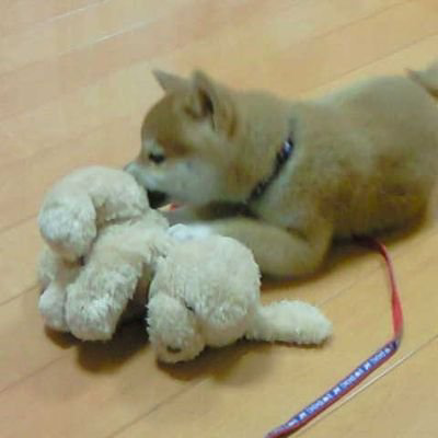 ケンザン