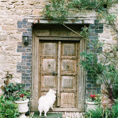 ライウェイ@03組