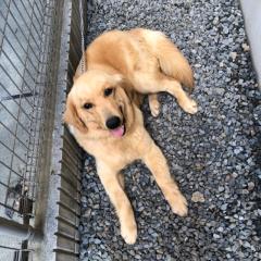 こうすけ@おだ団