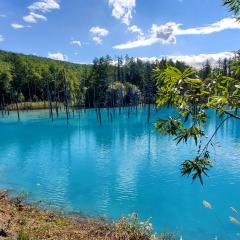 岩田和雄(もちろん仮名)