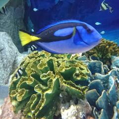 ひろさん🐬🐬