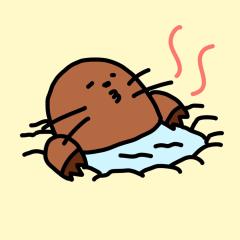AKI