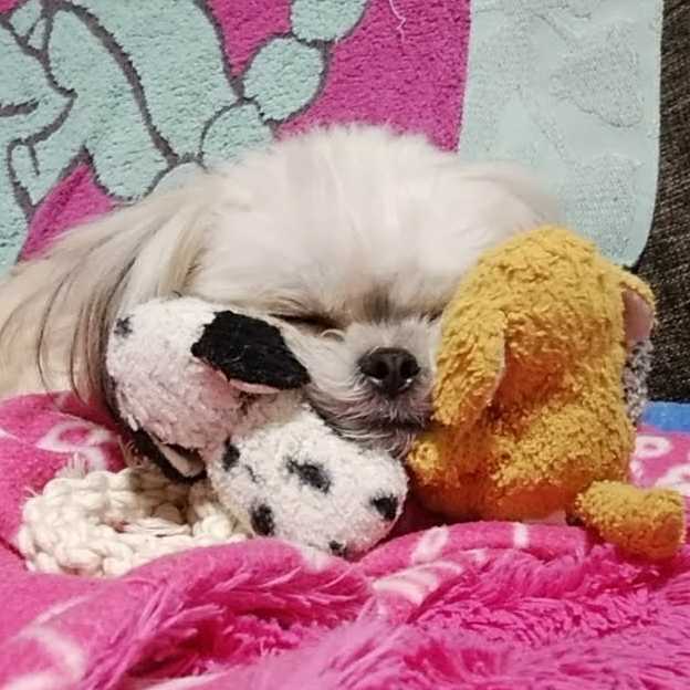 🍊みかんいちご🍓