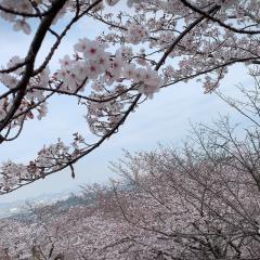 しき