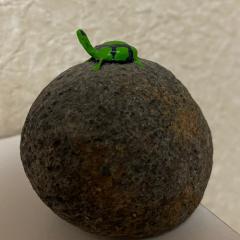 からあげコロノスケ