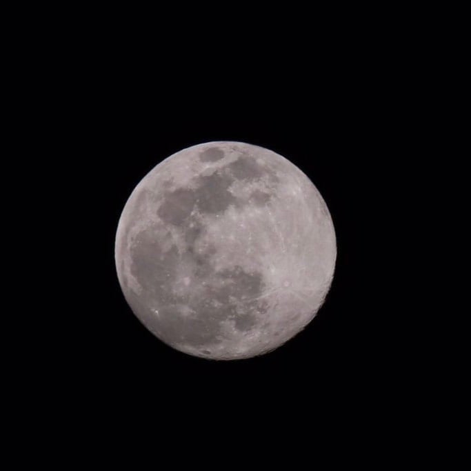 のどかのトーク