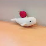 いるかとりんご