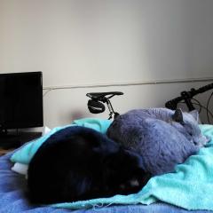 726のおばあちゃん👵