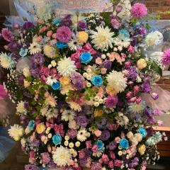 ナイキ・オレゴンプロジェクト