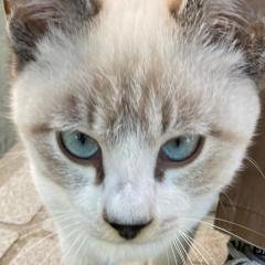 kuni