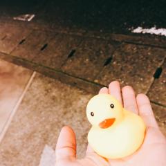 ぴょんす