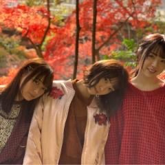 サクラミツツキの独り言