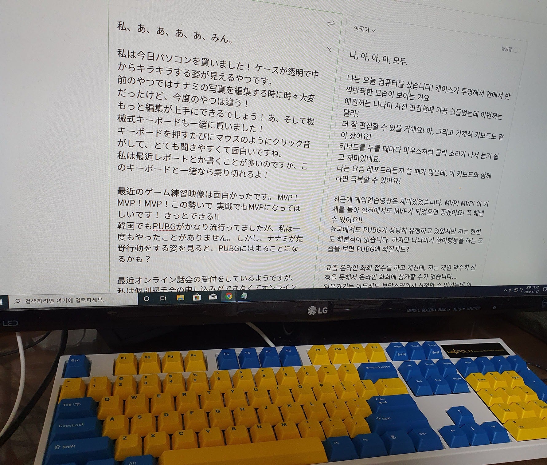 投稿画像
