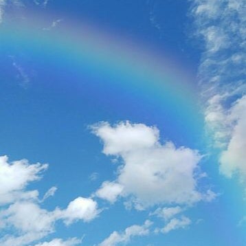 宇野実彩子のトーク