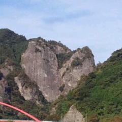 引用専用にしようかな ()