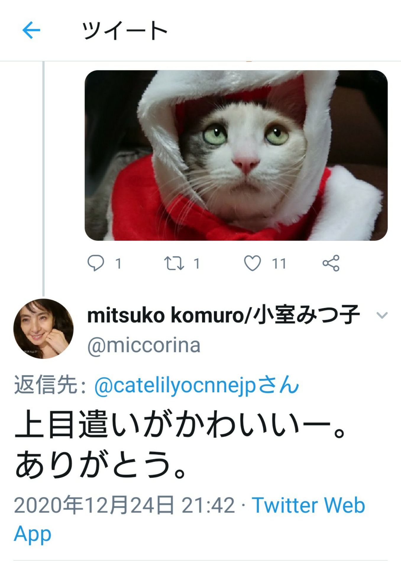 投稿画像