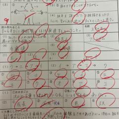 ときどきウクレレ