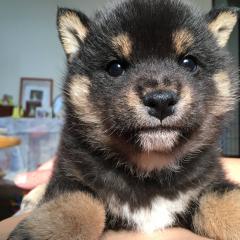 リトークルーム🍀