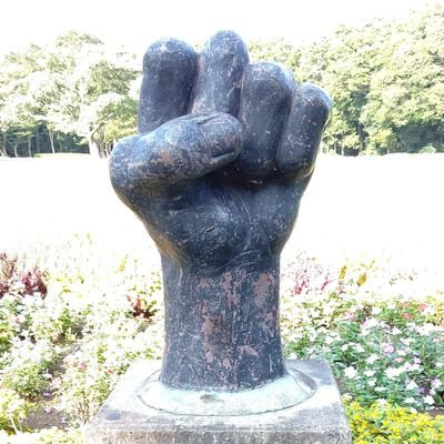 フリーバ~ド🆓🐔