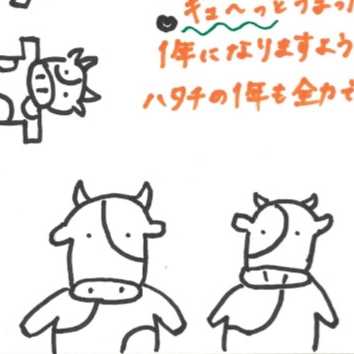 マスルです