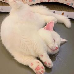 (^^)(^^)平和(^^)(^^)