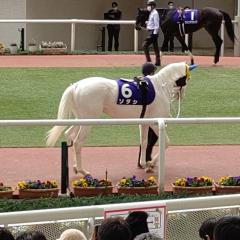 神戸のヒッキー