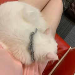 ☆.*真泡*.☆(しあ)