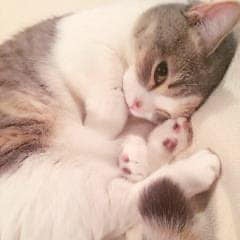 ちゃかみーのトーク