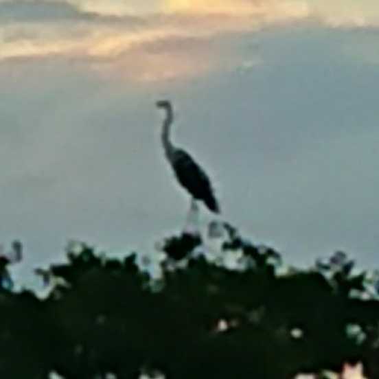 セイゴのトーク