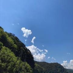 動物好き