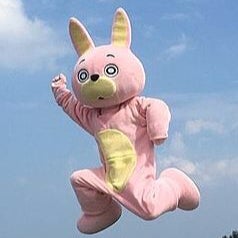 ｻﾗﾝﾗｯﾌﾟ