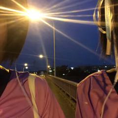 あおい