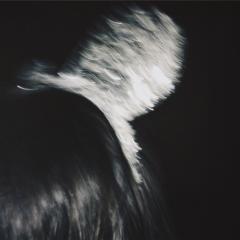 misa