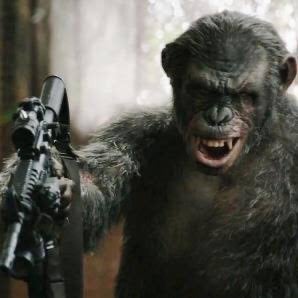 あたいをバカにすんじゃないよ！