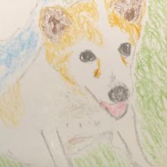 りょうのトーク