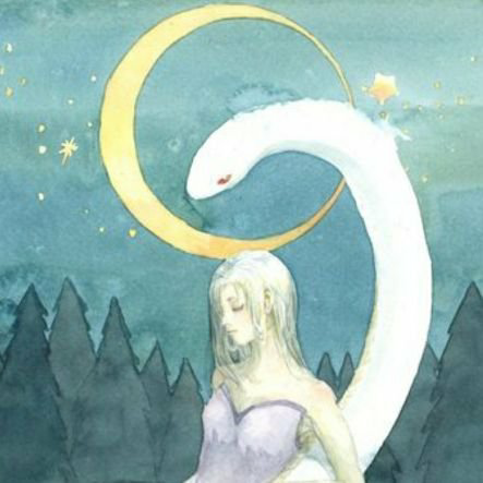 月夜の蛇🐍