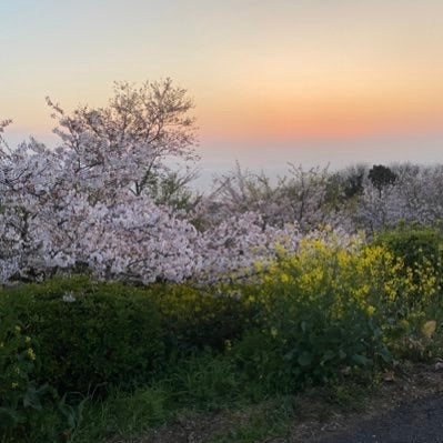 タイガーダイナ