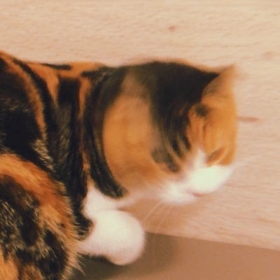 あんまり元気じゃない