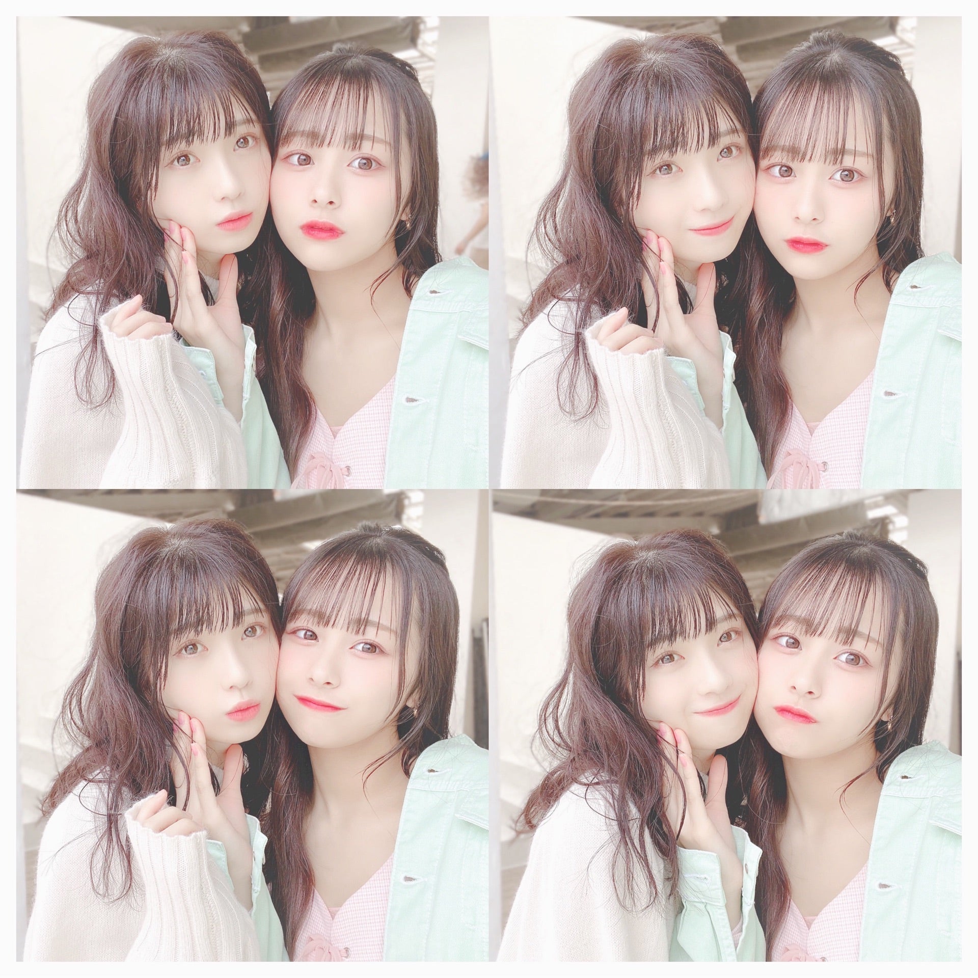 ๆ็จฟ็ปๅ