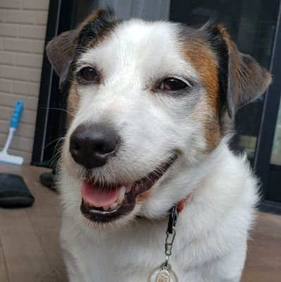 やまぽん@山﨑怜奈推し