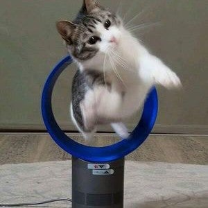 ルーク