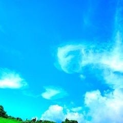 クロジョジョ
