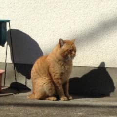 まぁ@くら'sメイト